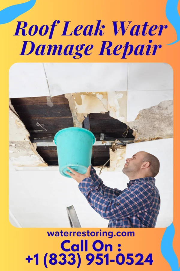 Roof Leak Water Damage Repair in Cale, AR